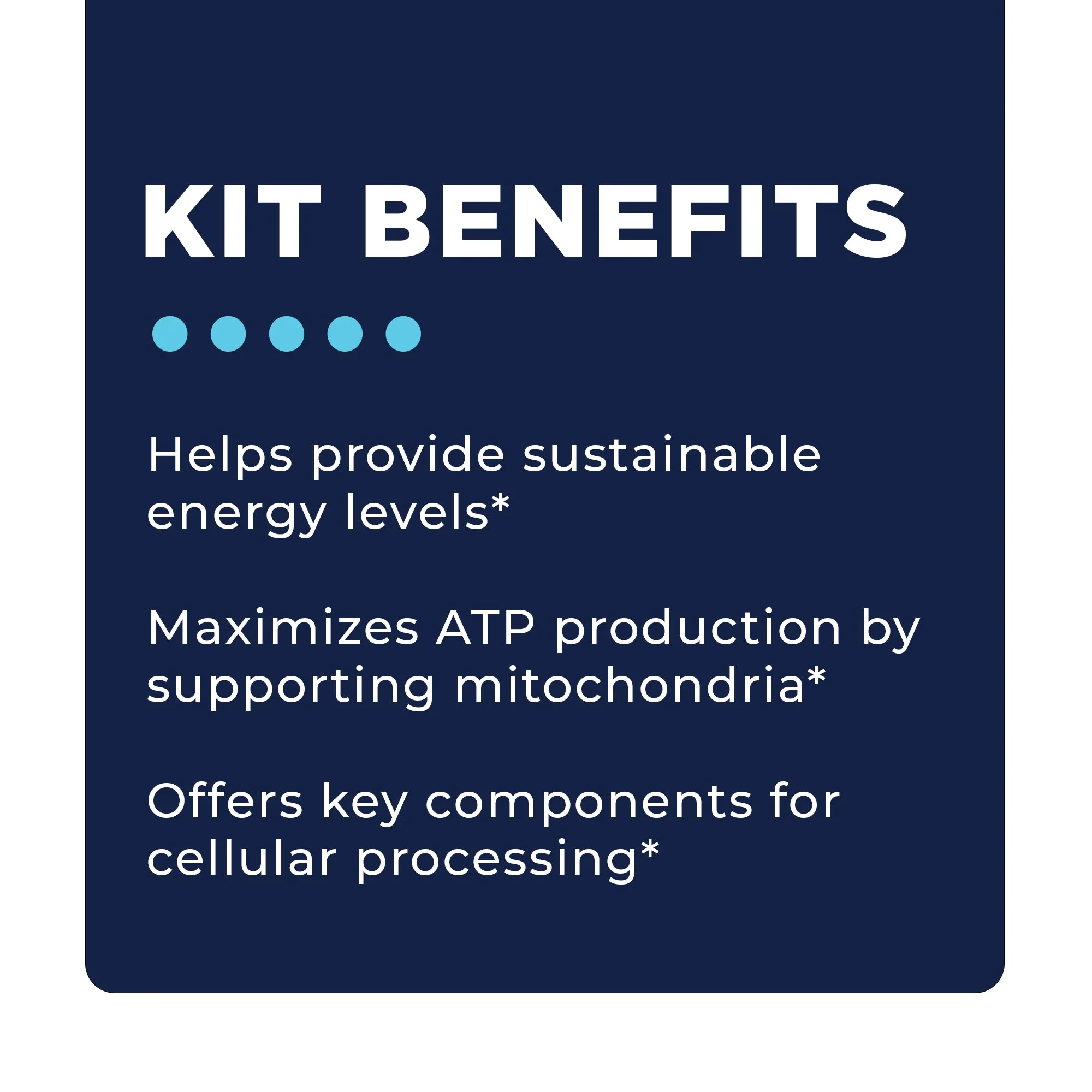 Energy Boost Support Bundle - Image 5