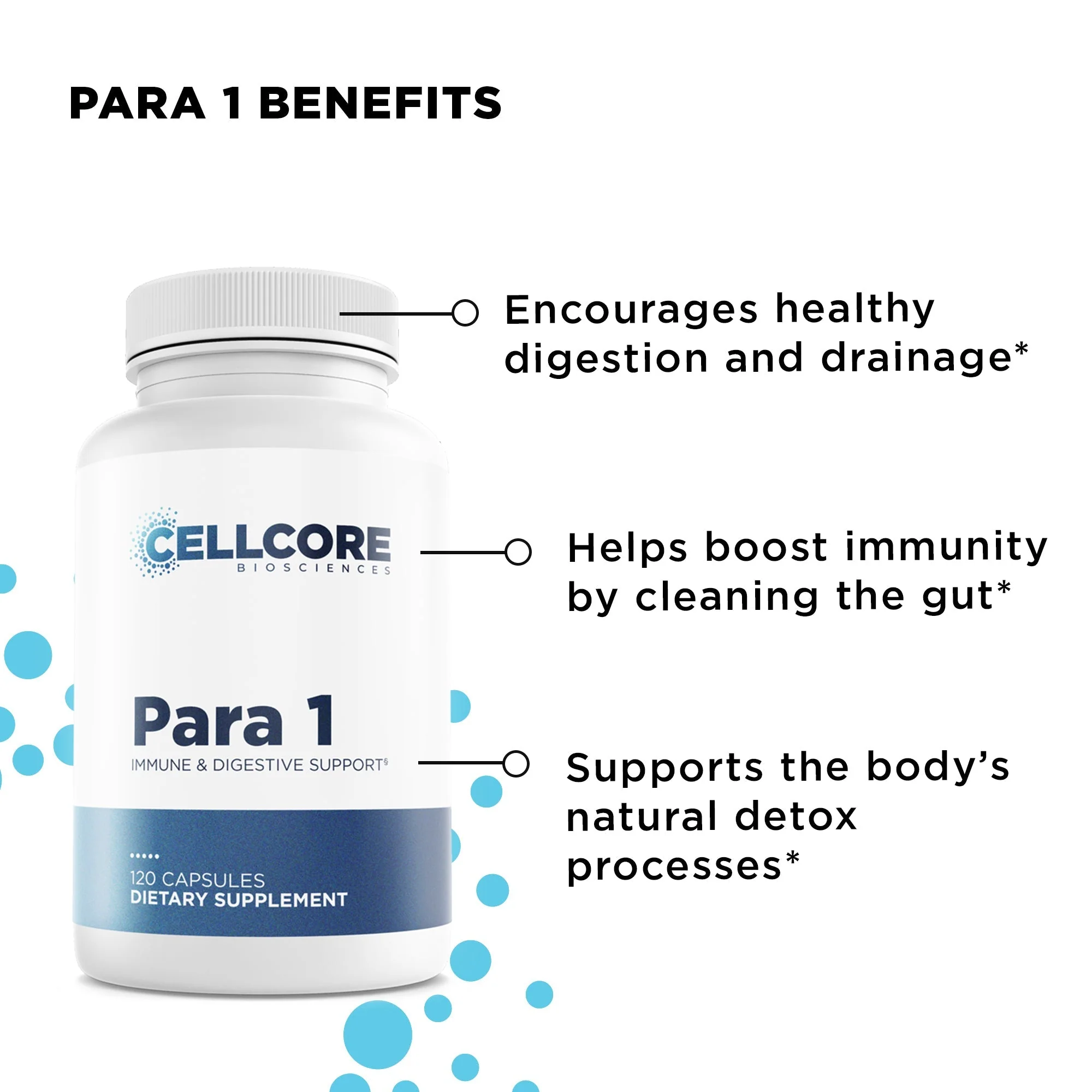 Intestinal Permeability Support Bundle - Image 4