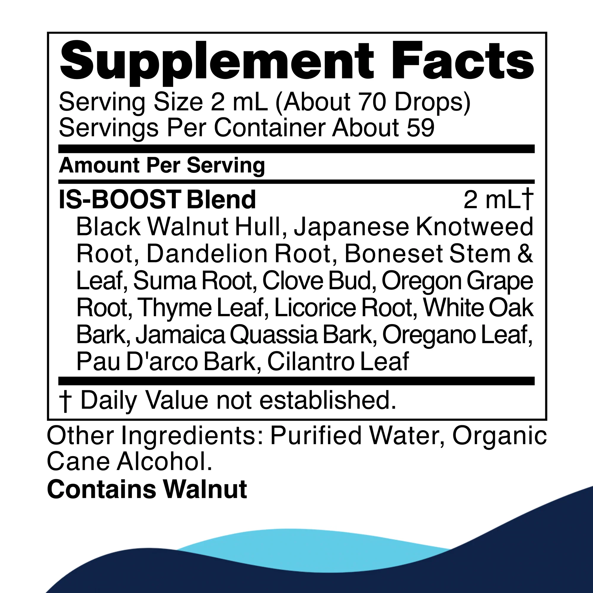 IS-BOOST - Image 4
