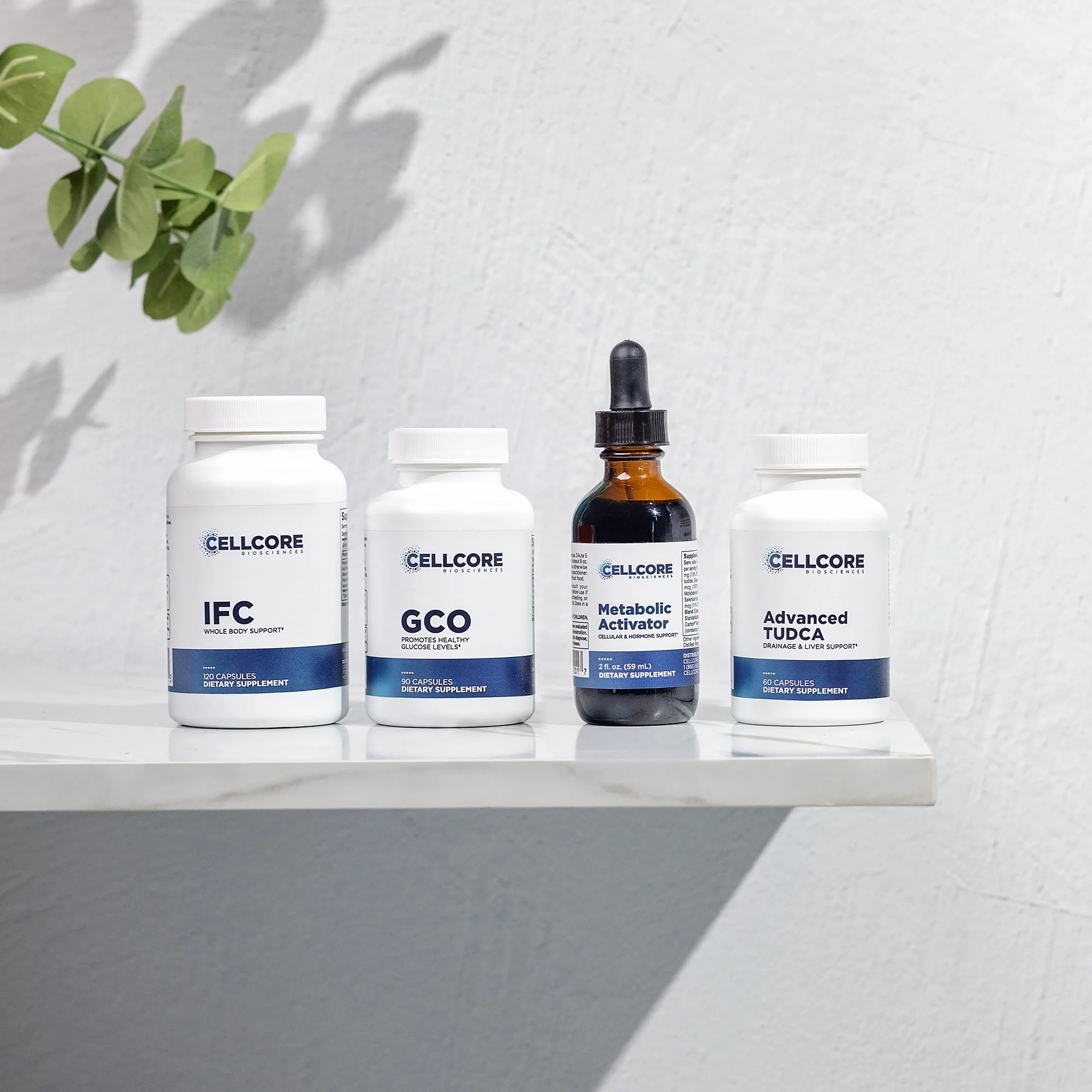 Metabolic Support Bundle - Image 7