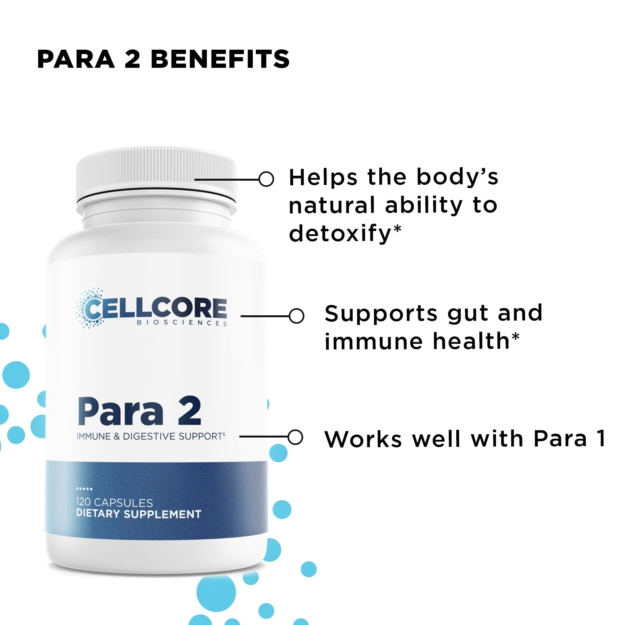 Para Kit - Image 3